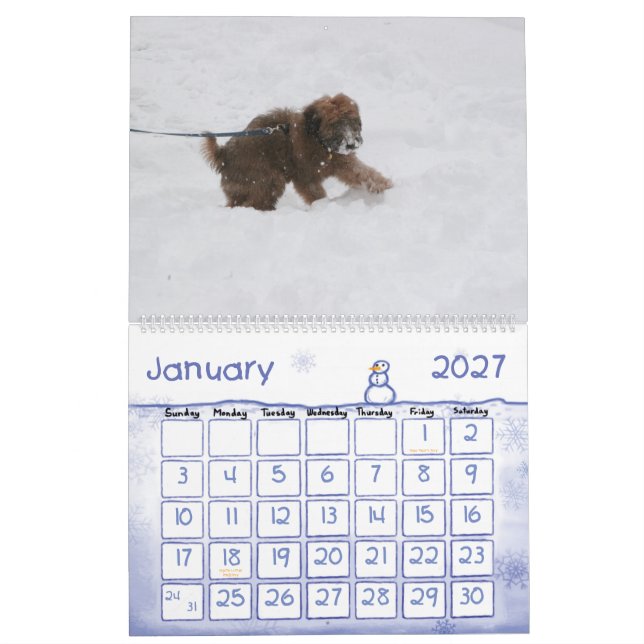 Capa, calendário de Enzo (Jan 2027)