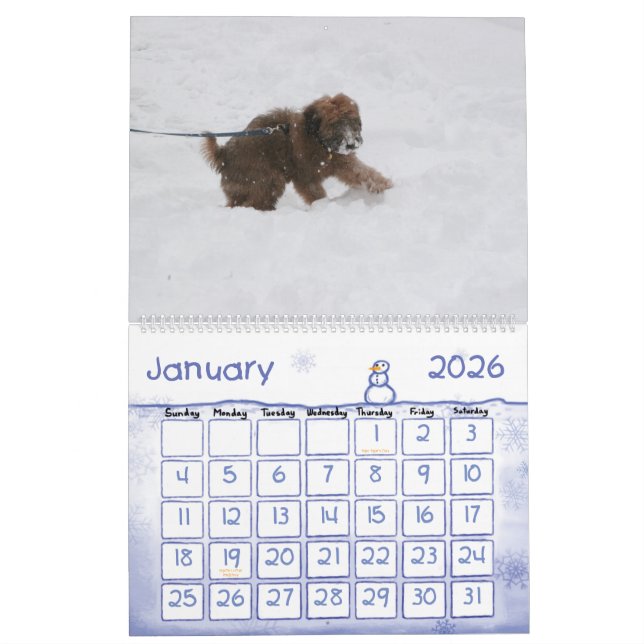 Capa, calendário de Enzo (Jan 2026)