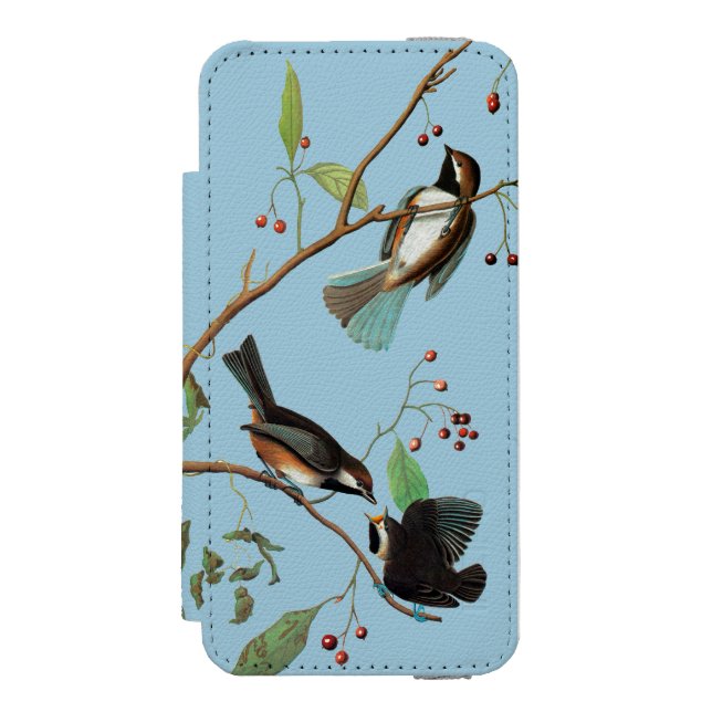 Capa Carteira Para iPhone, Incipio Audubon: Chickadee (Frente do fólio)