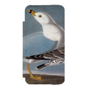 Capa Carteira Incipio Watson™ Para iPhone 5 Audubon: Gaivota Anel-Faturada