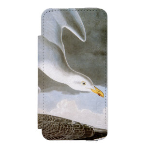 Capa Carteira Incipio Watson™ Para iPhone 5 Audubon: Gaivota de arenques