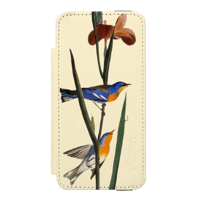 Capa Carteira Para iPhone, Incipio Audubon: Toutinegra (Frente do fólio)