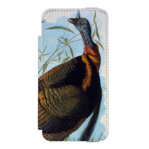 Capa Carteira Incipio Watson™ Para iPhone 5 Audubon: Turquia selvagem