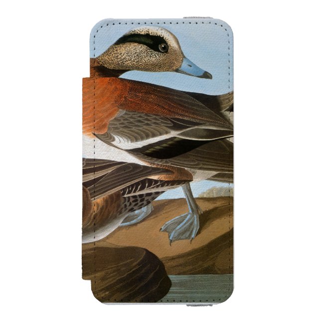 Capa Carteira Para iPhone, Incipio Audubon: Wigeon (Frente do fólio)