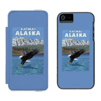 Mergulho da águia americana - Katmai, Alaska
