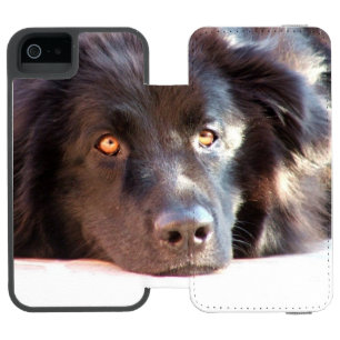 Capa Carteira Incipio Watson™ Para iPhone 5 newfoundland-3