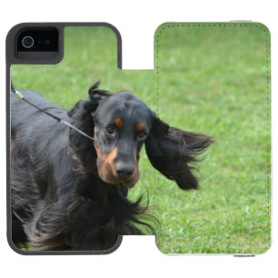 Capa Carteira Incipio Watson™ Para iPhone 5 Setter de Gordon bonito