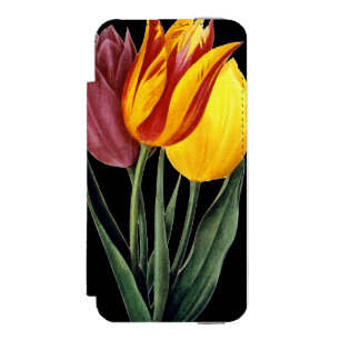 Capa Carteira Incipio Watson™ Para iPhone 5 Tulipa (Tulipa Gesneriana)