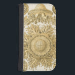 Capa Carteira Para Samsung Galaxy S4 Criaturas do Mar do ouro<br><div class="desc">Ernst Haeckel é um artista criativo e imaginativo. Nessa arte contemporânea,  ele captura ouriços anêmonos da vida marinha em ouro e designs tortos. Você não terá nenhuma outra peça de arte como a sua espécie. Peguem esta inovadora arte oceânica em seus produtos hoje!</div>