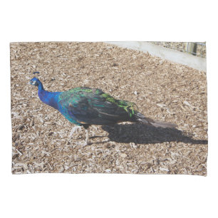 Capa de almofada Indian Blue Peafowl