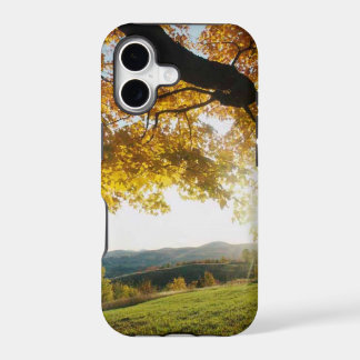 CAPA DE I-PHONE - FOLHAS DE OUTONO