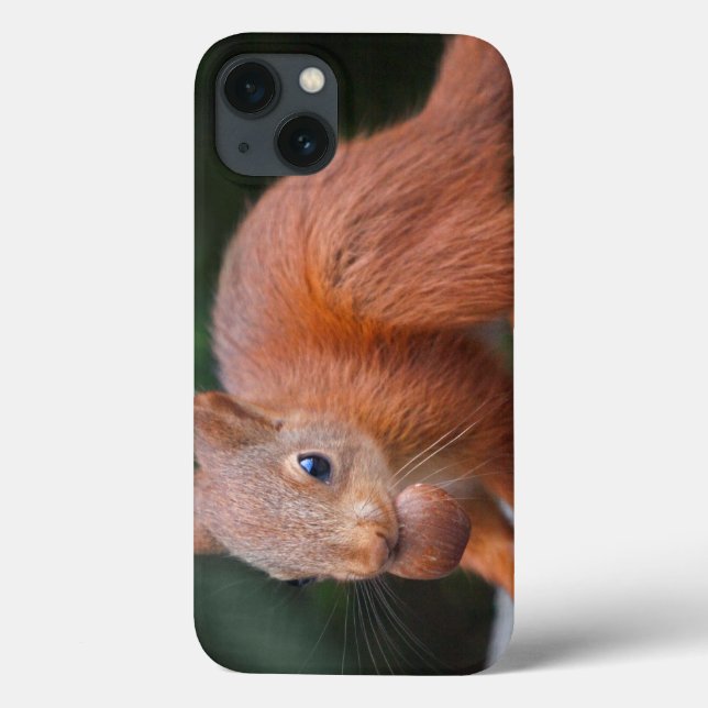 Capa de iPad de Esquilo Bebê com Noz (Verso)