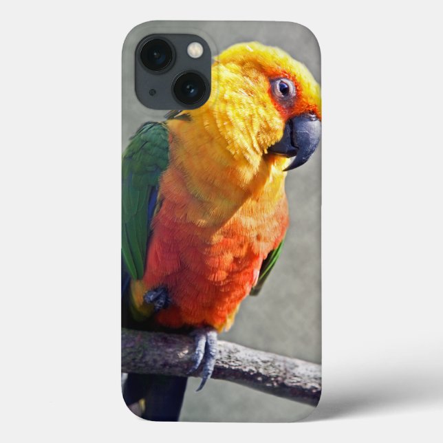 Capa de iPad Jenday Conure (Verso)