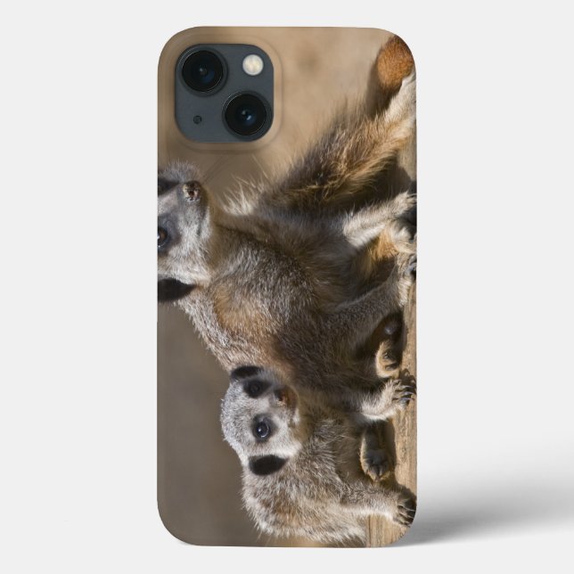 Capa de iPad Watch with Mother (Verso)