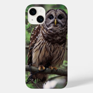 Capa de iPhone 14 com Coruja Barrada