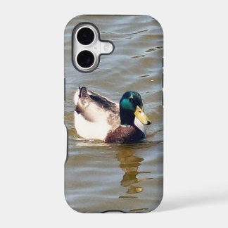 Capa de iPhone 5/5S Pato-real Quase Lá