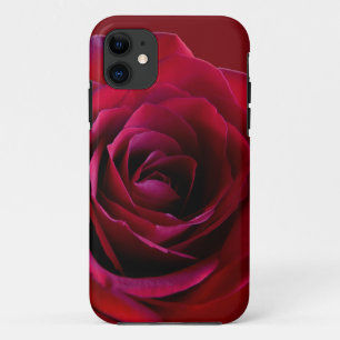 Capa de iPhone 5 Rosa Vermelha Clássica Capas de i
