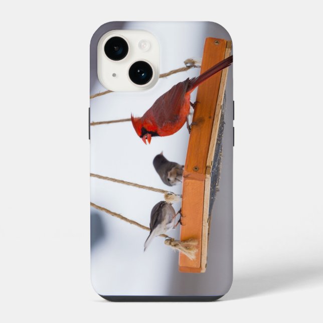 Capa de iPhone Cardinal e Juncos (Verso)