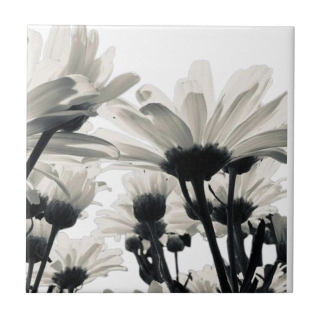 Capa de iPhone Case-Mate Desert Blooms (Frente)