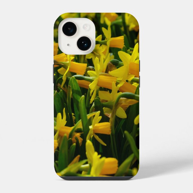 Capa de iPhone da Família Daffodil (Verso)