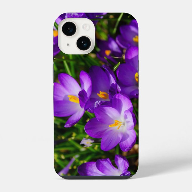 Capa de iPhone Lilac Crocuses (Verso)