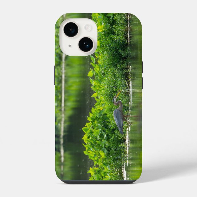 Capa de iPhone Refeição de Lagostim (Verso)