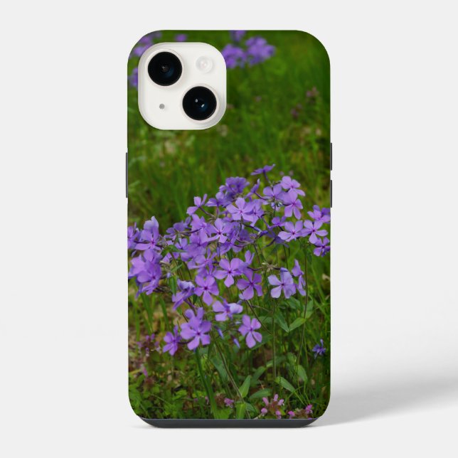 Capa de iPhone Wild Blue Phlox (Verso)