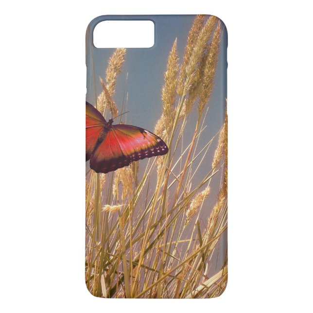 capa de ipod Personalizada (Verso)