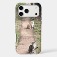 Capa de Telefone com Gato