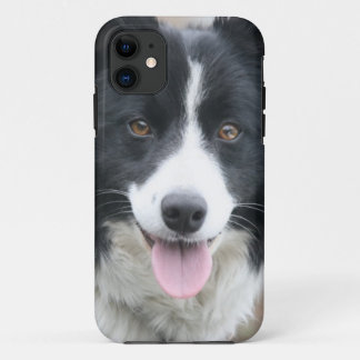 Capa de telefone de border collie