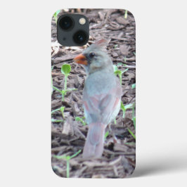 Capa de telefone de Células Cardinais Bonito