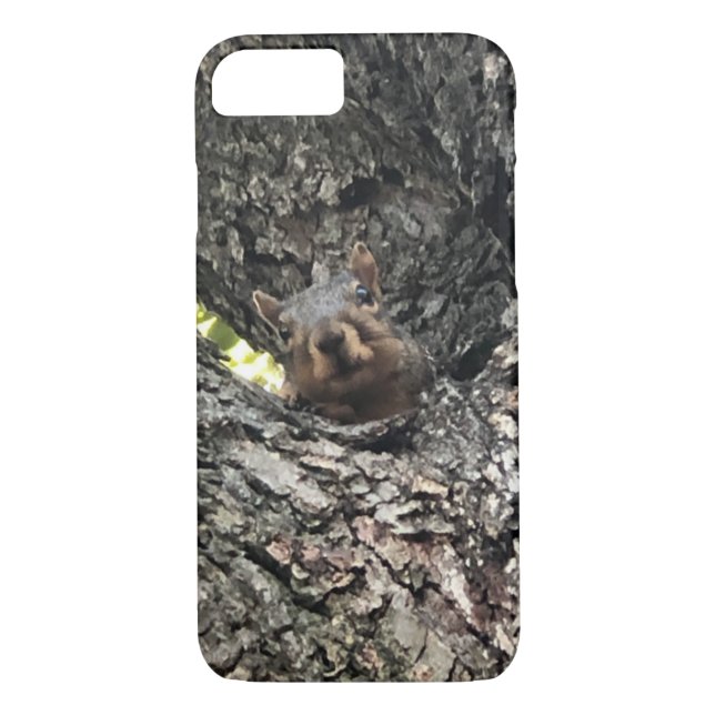 Capa de telefone de esquilo (Verso)