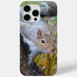 Capa de telefone de esquilo