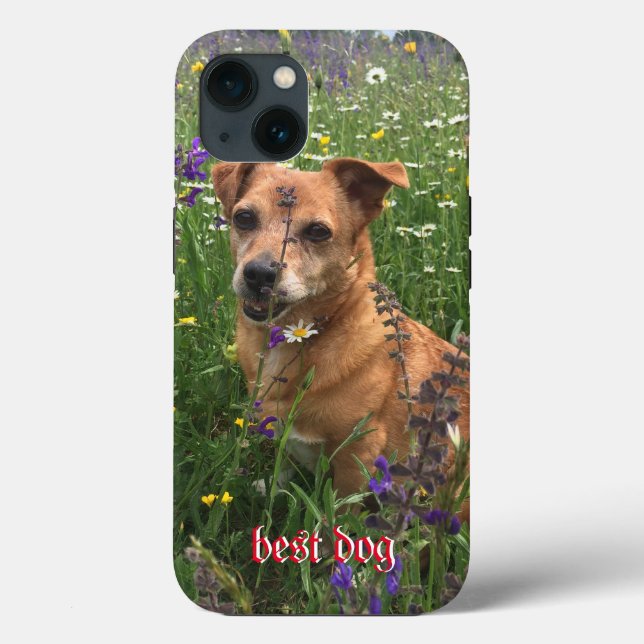 Capa de telefone de fotógrafo (Verso)