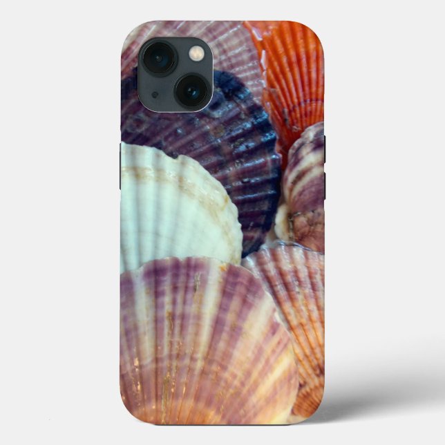 Capa de telefone de gabinete, iPhone 13 da Apple (Verso)