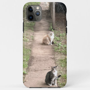 Capa de telefone de gatos