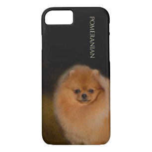 Capa de telefone de Pomeranian