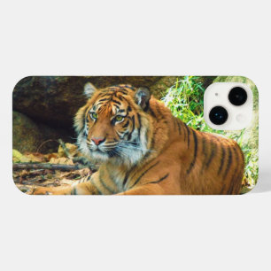 Capa de telefone de Tigre em Descarte