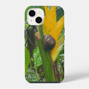 Capa de telefone do Caracol da Floresta Tropical