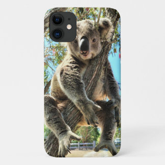 Capa de telefone Koala