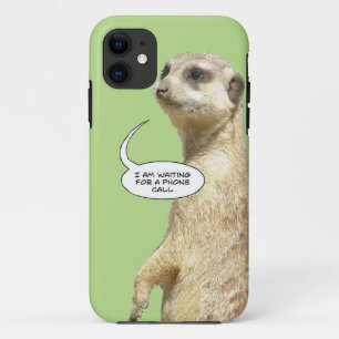 Capa de telefone Meerkat