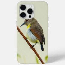 Capa de telefone Nature Bird