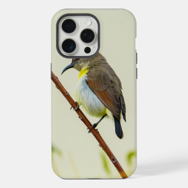 Capa de telefone Nature Bird (Verso)