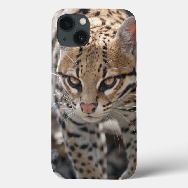 Capa Golden Eyes para iPad Mini (Verso)