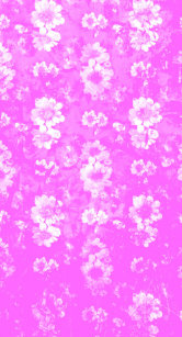 Capas Parede Cor Rosa Papel De Zazzlecombr
