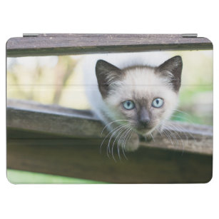 Capa Para iPad Air Bebês Mais Pobres   Siamese Kitten 2