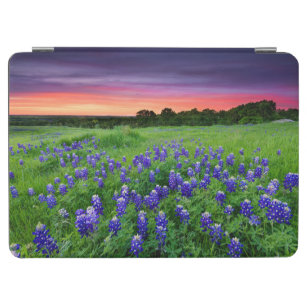 Capa Para iPad Air Flores   Bluetooth no Texas Sunset