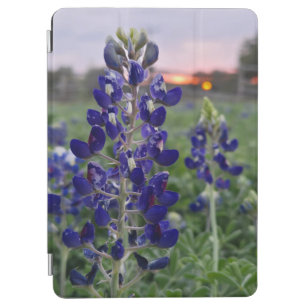 Capa Para iPad Air Texas Bluebonnet Fazenda Sunset