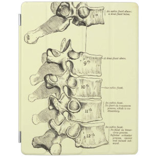 Capa Smart Para iPad Vértebras da anatomia   do vintage