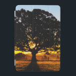 Capa Para iPad Mini Árvore na manhã<br><div class="desc">Árvore na luz do amanhecer. Foto submetida por um leitor do país. O compartimento do país comemora a beleza excitante, pessoas de contrato, resistindo valores e estilo de vida espiritual rewarding do campo americano. Nossos leitores entusiásticos contribuem quase três quartos do índice de cada compartimento, compartilhando de suas histórias, fotografia...</div>